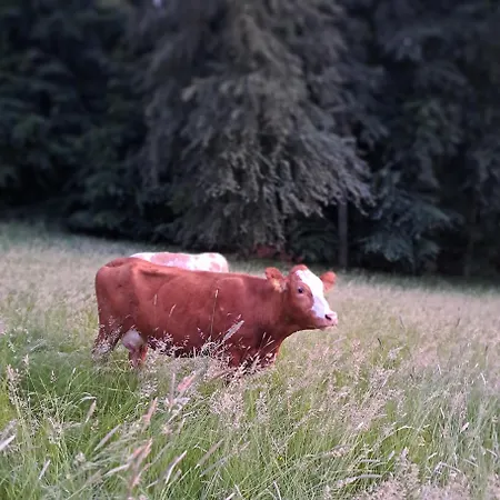 Johanns Hof * Furth (Hessen)